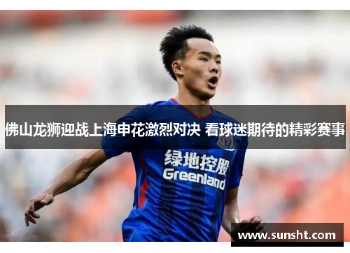 佛山龙狮迎战上海申花激烈对决 看球迷期待的精彩赛事