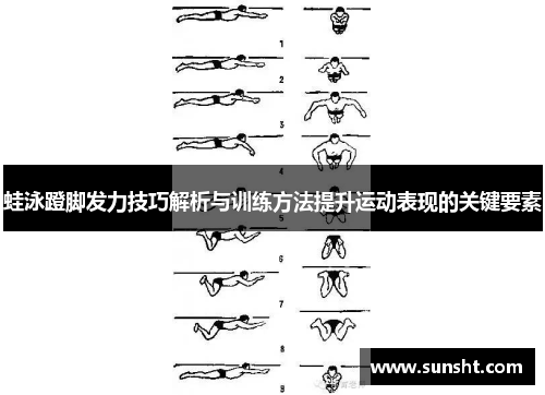 蛙泳蹬脚发力技巧解析与训练方法提升运动表现的关键要素